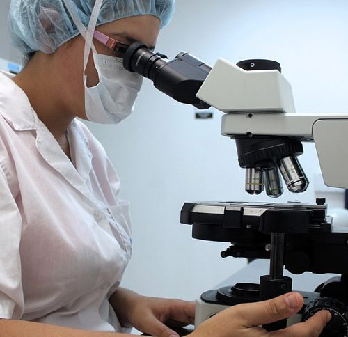 The Endocannabinoid System