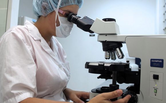 The Endocannabinoid System