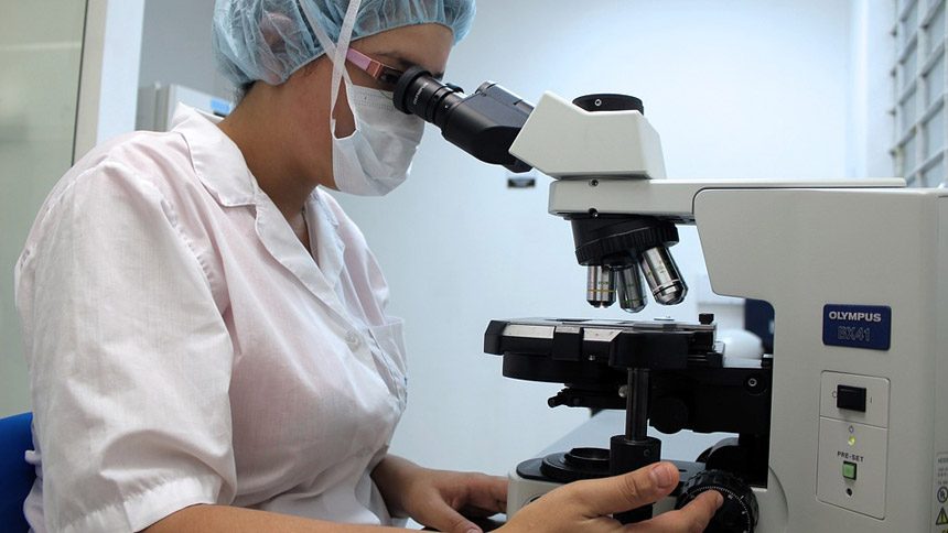 The Endocannabinoid System